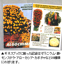 �衼���åѤǤϥ��르�ե�å��� ����ˤ��28�����ο�ʪ��������Ͽ���ݻ����Ƥ��ޤ���