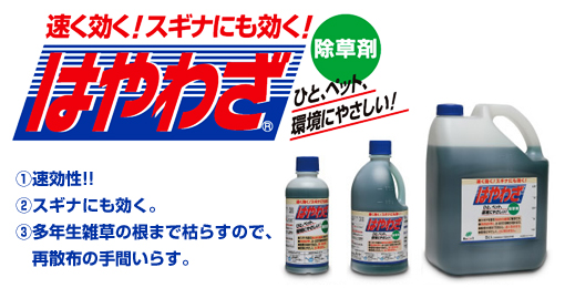 ����� �Ϥ�虜