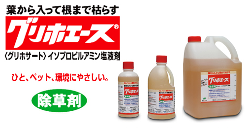 ����� ����ۥ�����