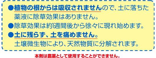 ����� ����ۥ�����