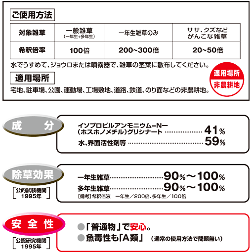 ����� ����ۥ�����