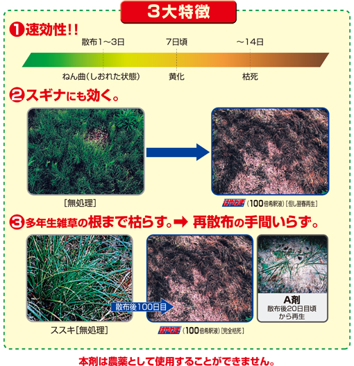 ����� �Ϥ�虜